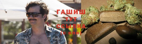 гидра Арсеньев