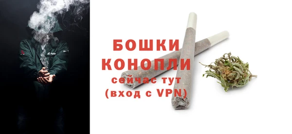 гидра Арсеньев
