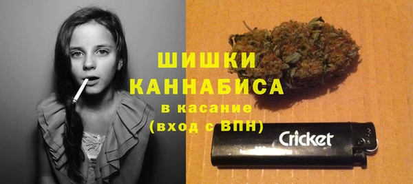 гидра Арсеньев