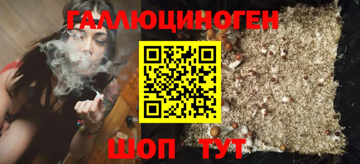 Галлюциногенные грибы Psilocybine cubensis  Галлюциногенные грибы MAGIC MUSHROOMS  Вход с VPN  Курган 