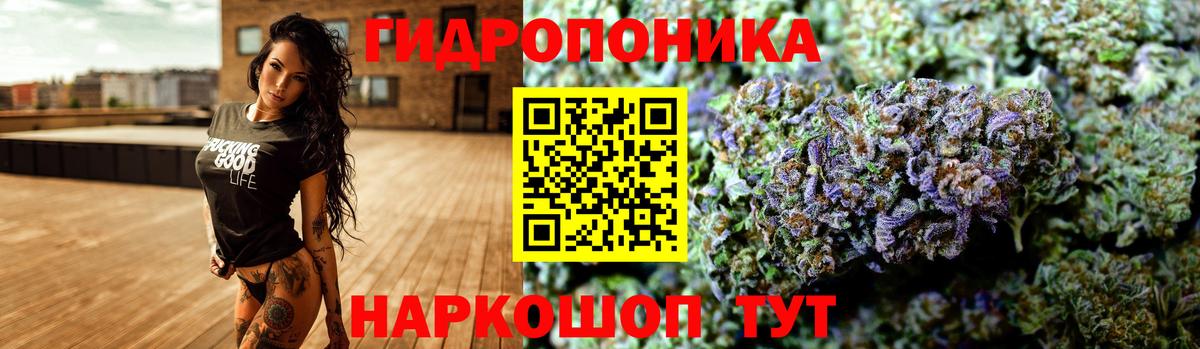 Курган  Бошки марихуана семена  Бошки Шишки OG Kush  Вход с VPN  Канабис Amnesia 